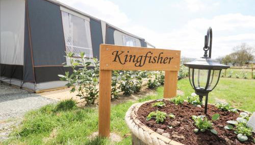 The Kingfisher - Foto 4