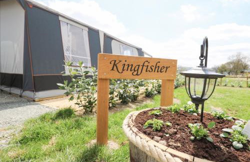 The Kingfisher - Foto 4