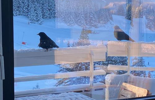 Chamrousse 1750 Roche Béranger 50m2 4-6pers Vue panoramique - Foto 22