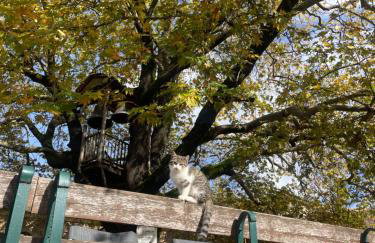 Capris Rustic Ηouse with Mountain View - Foto 39