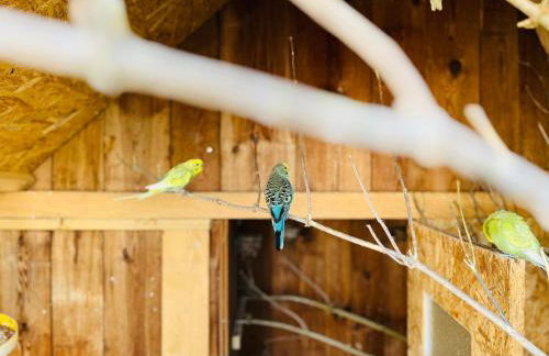 Ferienwohnung Peters (EG) - Foto 43