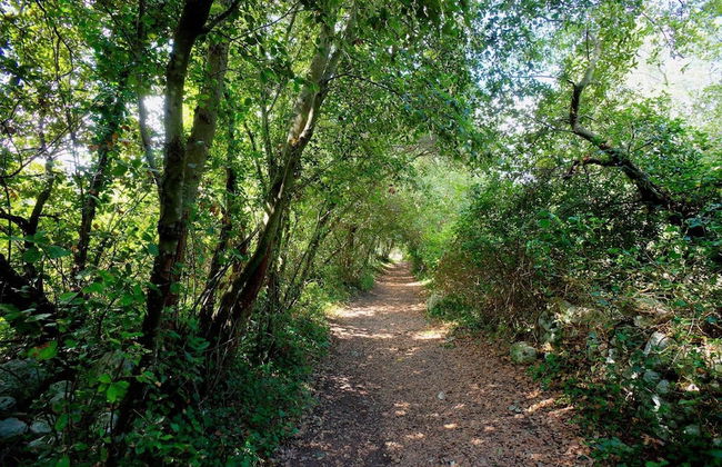 Tenuta Sant'Andrea - Foto 40