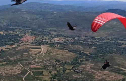 Casa do Sobrado-Gralhas-Montalegre - Photo 29