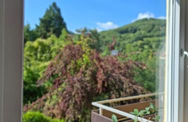 3 BR BURGPANORAMA Wohnung im Haus Frey mit Ausblick, 2 Bäder, Parken vor dem Haus, Balkon, Küche - Foto 12