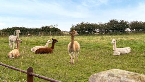 Cleveden Cottage - Foto 4