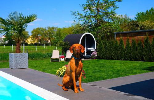 Pool Sauna Entspannung - Foto 16