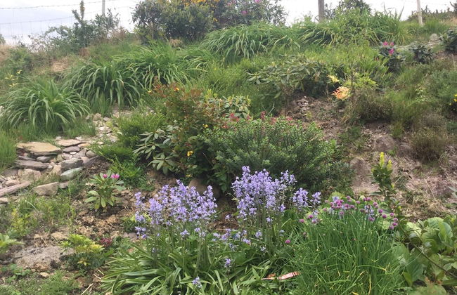 3 Bedroom Home 15 Mins Drive From Kenmare Town - Foto 14