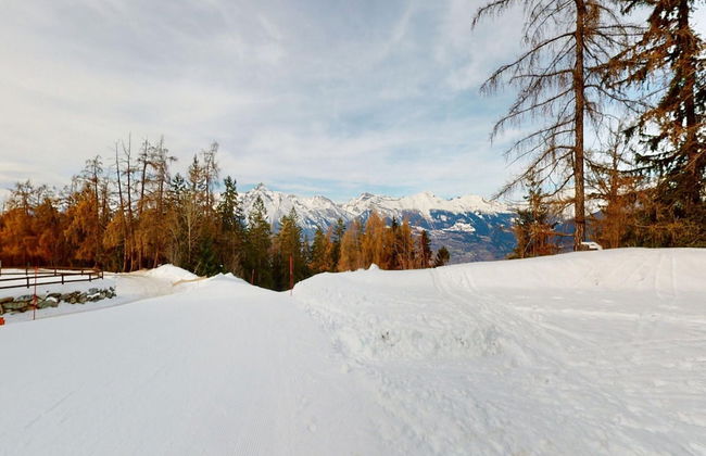 Apartment in Ski In Ski Out Location - Foto 22