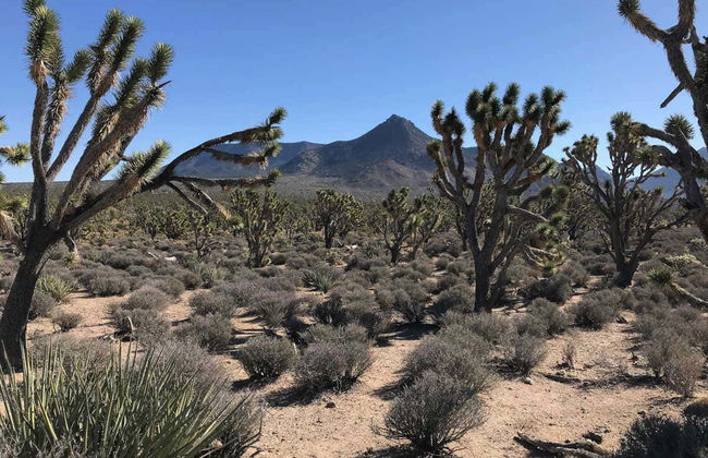 Grand Canyon Day Trip - Photo 3