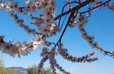 Quinta Alto da Fraga - Foto 40