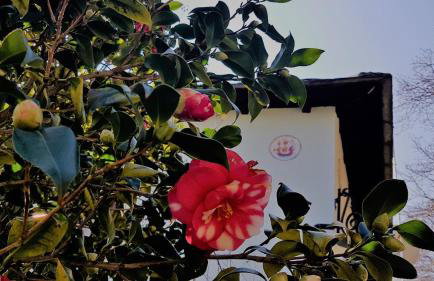 Tsagarada Stone House 1898 - Foto 67