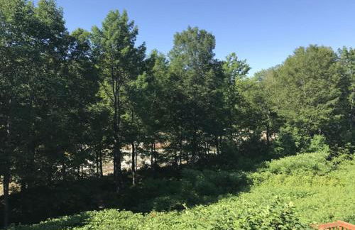 Studio Apt with stunning Mountain Views - Foto 38