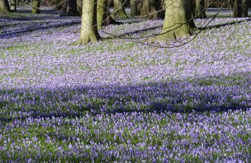 Holiday home with 5 bedrooms - Foto 23