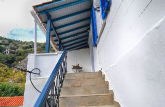 Plumeria Flowery - Foto 26