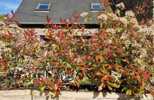 Gite rustique en Centre Bretagne - Foto 18