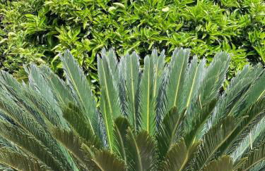 Schönes Ferienhaus Caesar mit großem Pool und Garten - Foto 23