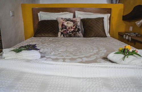 Montanhas do Xisto - Casa da Parreira - Foto 10