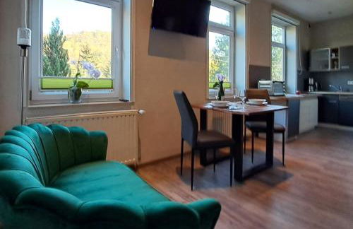 Studio Blick zum Schloss Wernigerode - Foto 11