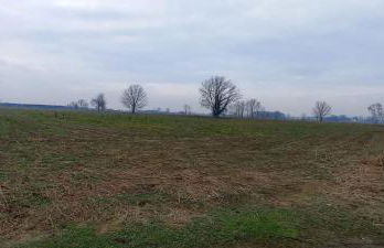 Silenzioso, posto auto, 2km da Lodi, 30 km da Milano - Foto 11
