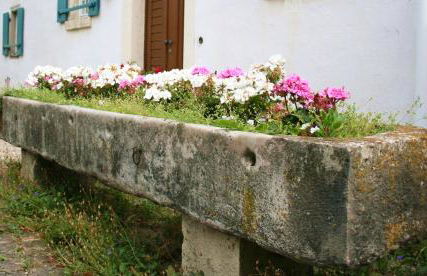 Rohrachhof - Foto 15