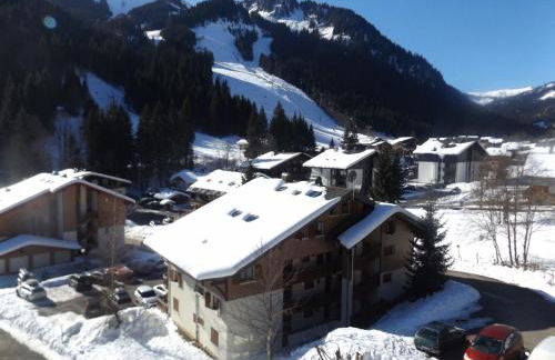 Studio Mezzanine Châtel, Parking, 4 pers. - FR-1-676-111 - Photo 11