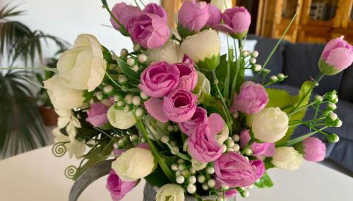 Scario house - Foto 3