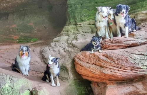 Hillis Ferienwohnung Saarland - Foto 7