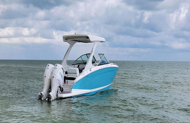 Sunshine Escape by Distinctive Beach Rentals - Photo 10