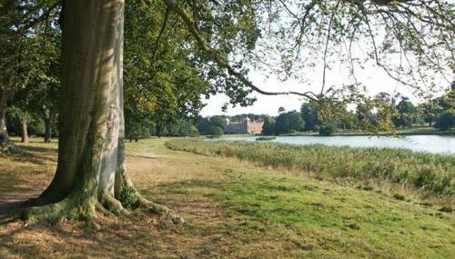 Walnut Tree Lodge - Foto 4