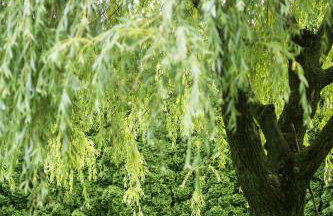 Dom lub apartamenty z widokiem na góry Wichrowe Wzgórza z basenem Brenna - Foto 68