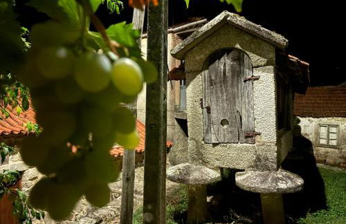 Oliveiras Misarela House - Photo 18