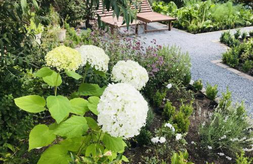 Entspannungszeit am Kluger See - Foto 11