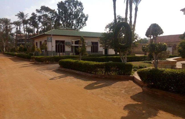 Fayed Armed Forces Hotel - Foto 19