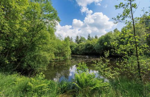 Neuadd Las - Photo 28