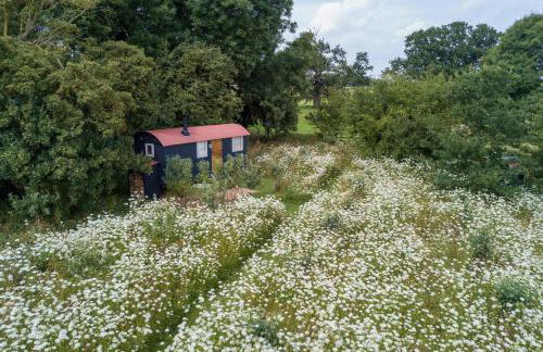 Wellbeing Orchard - Foto 43