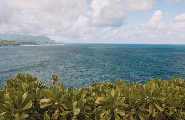 Kauai Plantation Hale Hotel - Foto 105