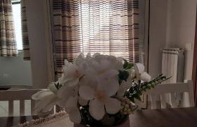 Vespucci Holiday - Foto 10