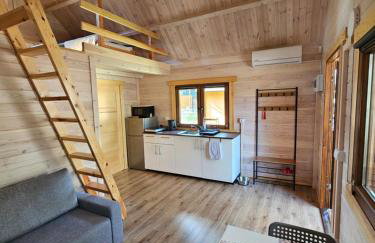 Leśna Przystań Borsk - Foto 3