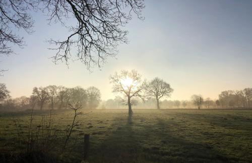 Gut Strackholt FeWo Seemannsgarn - Foto 26