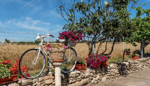 Angelo's Country House - Foto 2