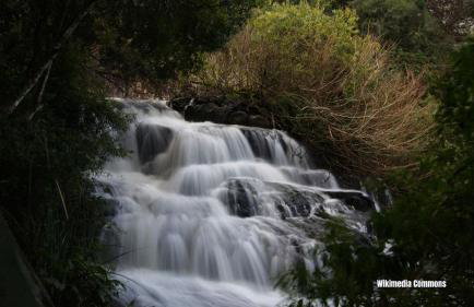Refúgio Aconchegante em Canela Natureza & Conforto CAN131 - Foto 28