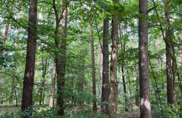 Łąkowy Zakątek Rybakowo - Foto 31