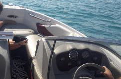 Orange Tree - Foto 45