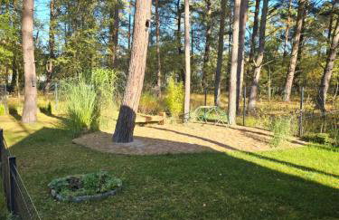 Daglezji 170 - Foto 6