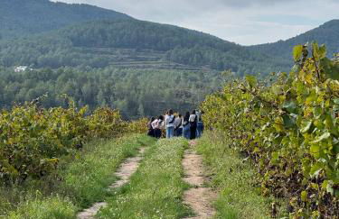 Casa Rural Cal Martí - Foto 37