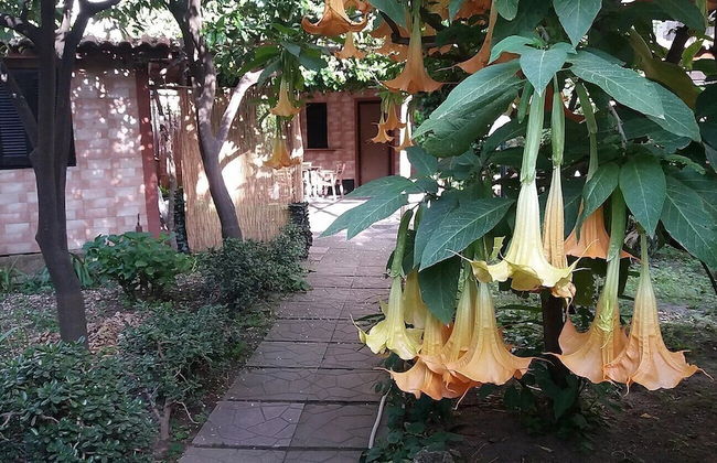 Capricornio Club - Foto 13