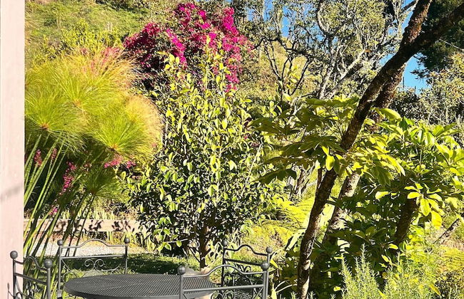 Gaia Experience - Foto 77