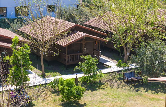 La Maison Hotel Çıralı - Foto 41