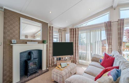 Red Robin - Uk49581 - Foto 3