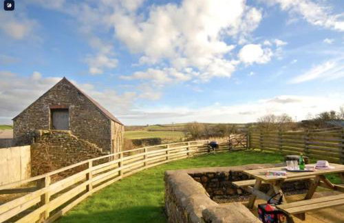 Trefrane Lodge - Foto 10